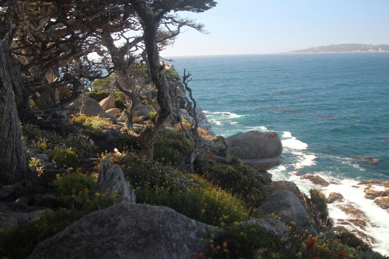 Top 5 Coastal Towns for a Relaxing Escape