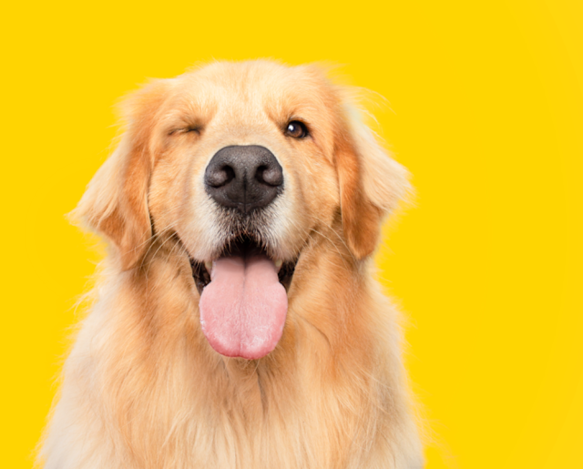 Exploring Snapchat: The Power of Authentic Digital Expression