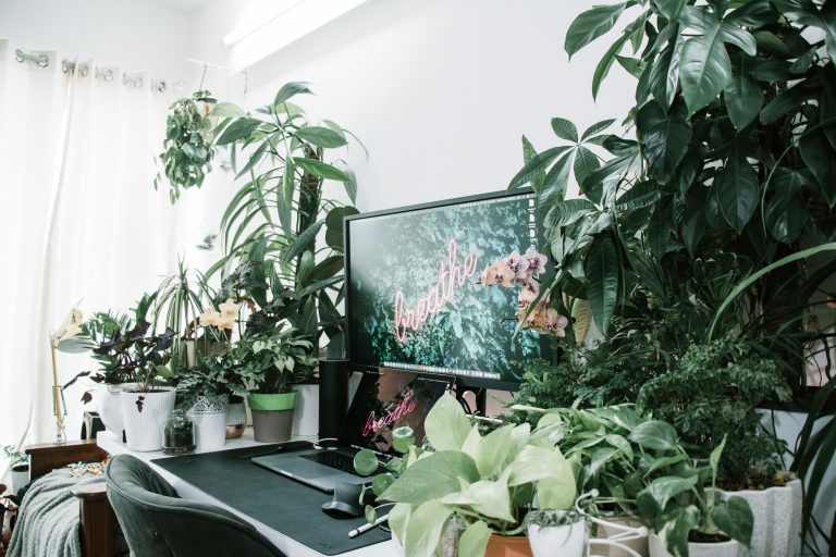 Quiet Vibes Only: Creating Your Personal Chill Zone