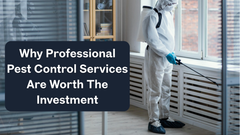 Why Professional Pest Control Services Are Worth The Investment