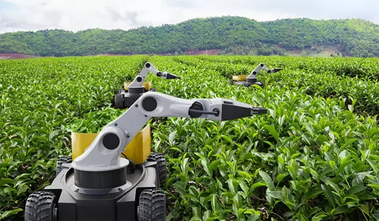  Cultivating the Future: The Rise of AI in Bangladesh’s Agricultural Landscape
