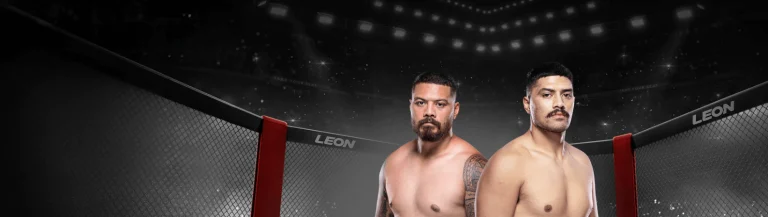 Intricate Workings of Market Making in Professional Sports Betting