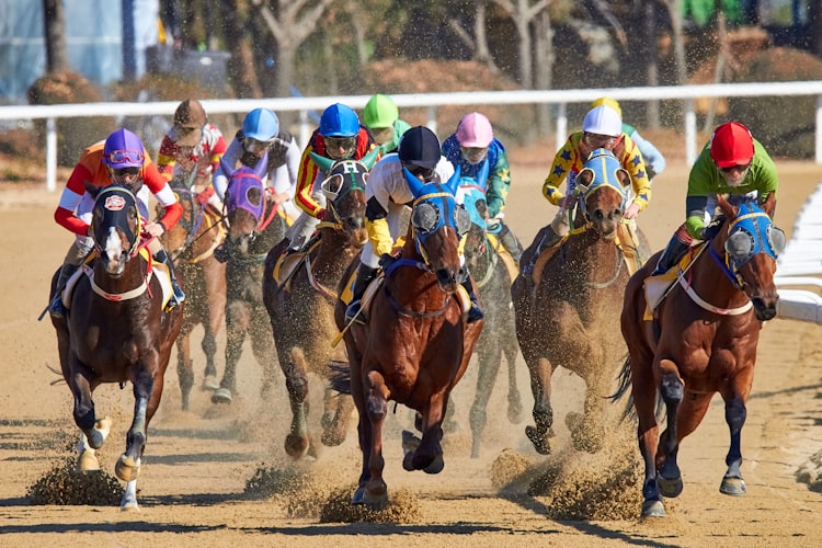 Bolts Up Daily: Horse Racing Tips That Are Going to New Heights