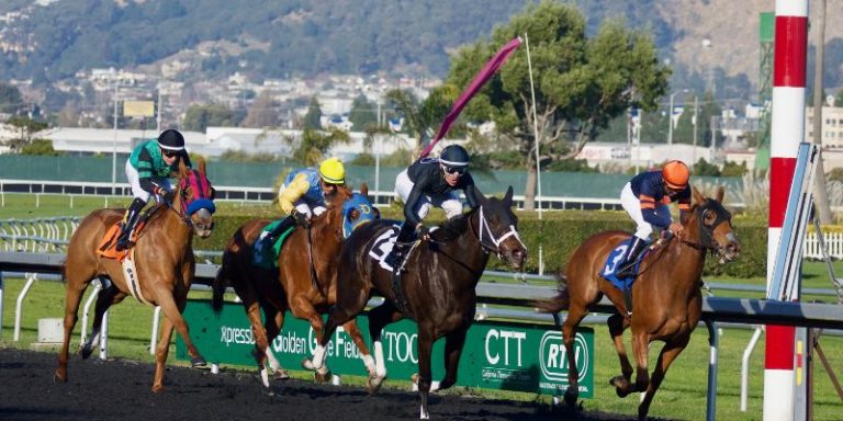 Horse Racing Game Strategies And Top Betting Tips 2026