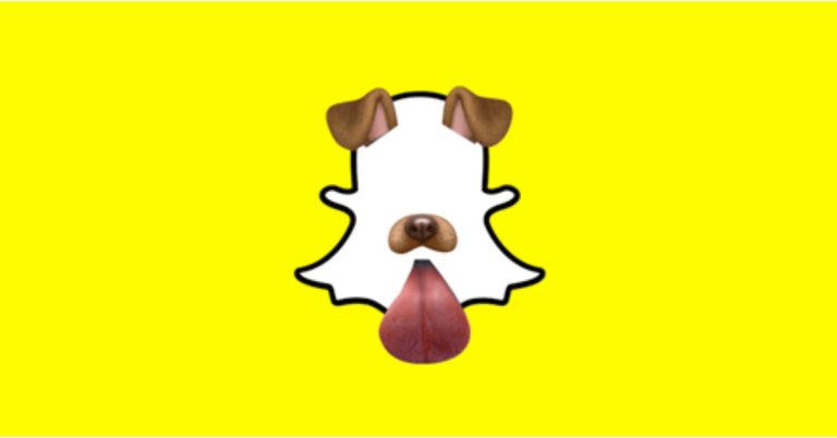 How To Snap Your Way To More Followers