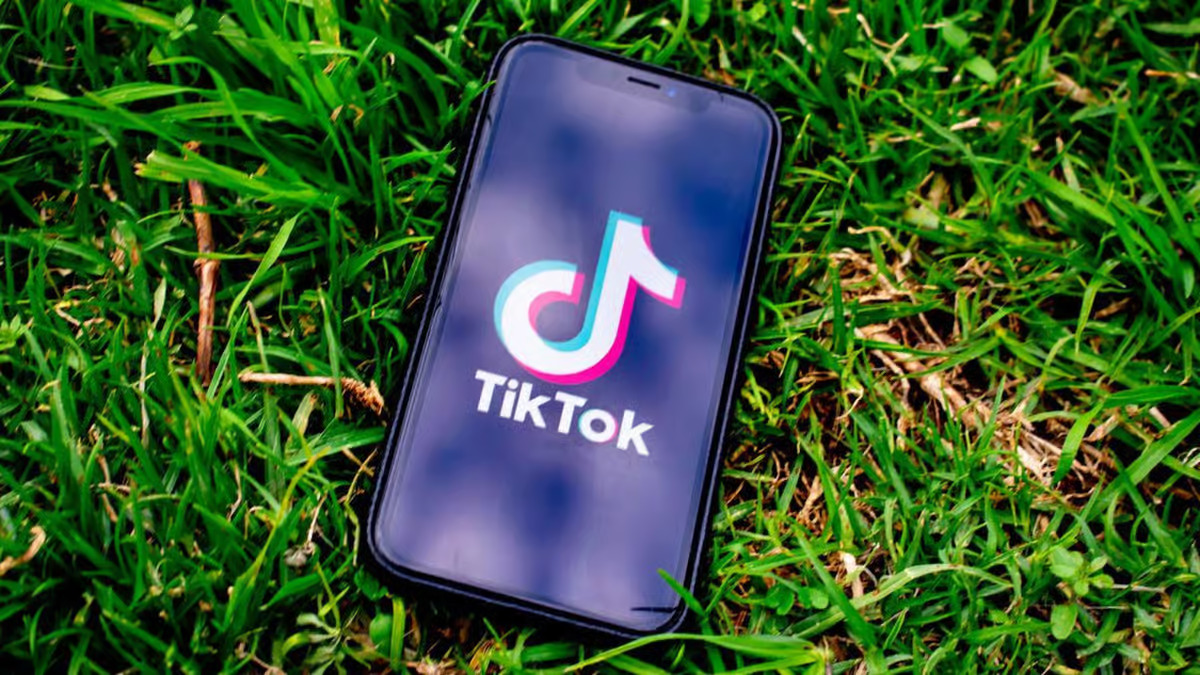 MDNI Meaning on TikTok
