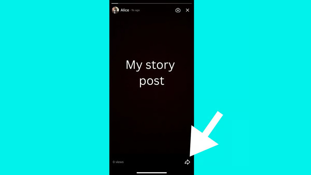 Delete the Story Post