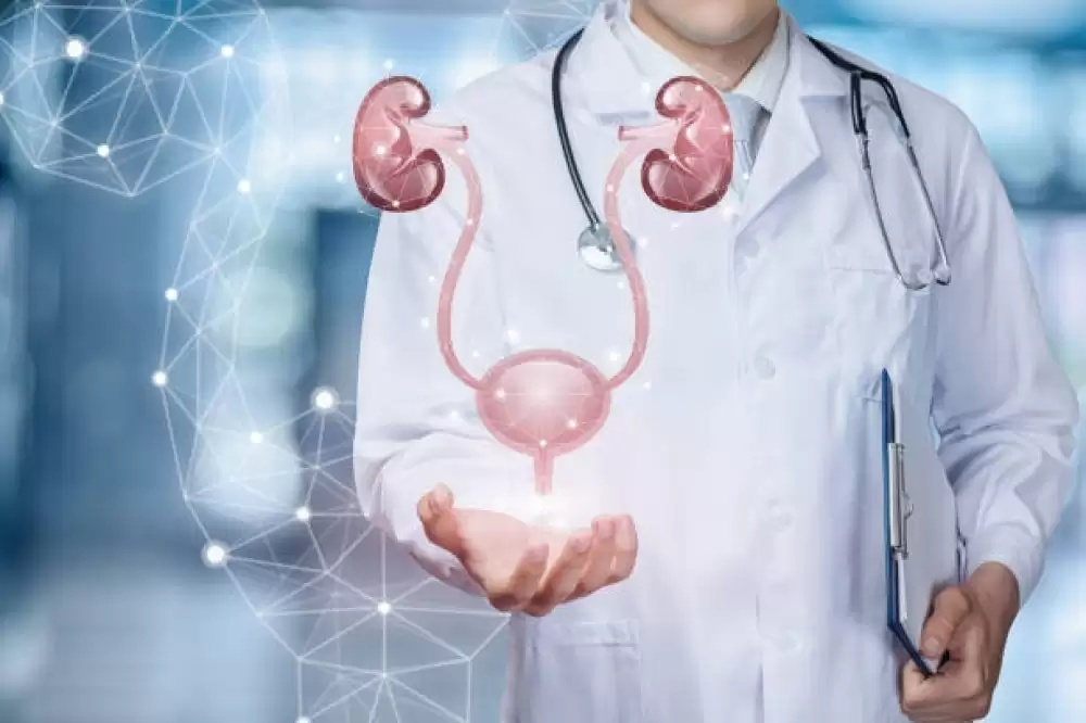 Finding the Best Urologist in Dubai: A Complete Guide to Expert Urinary and Male Health Care